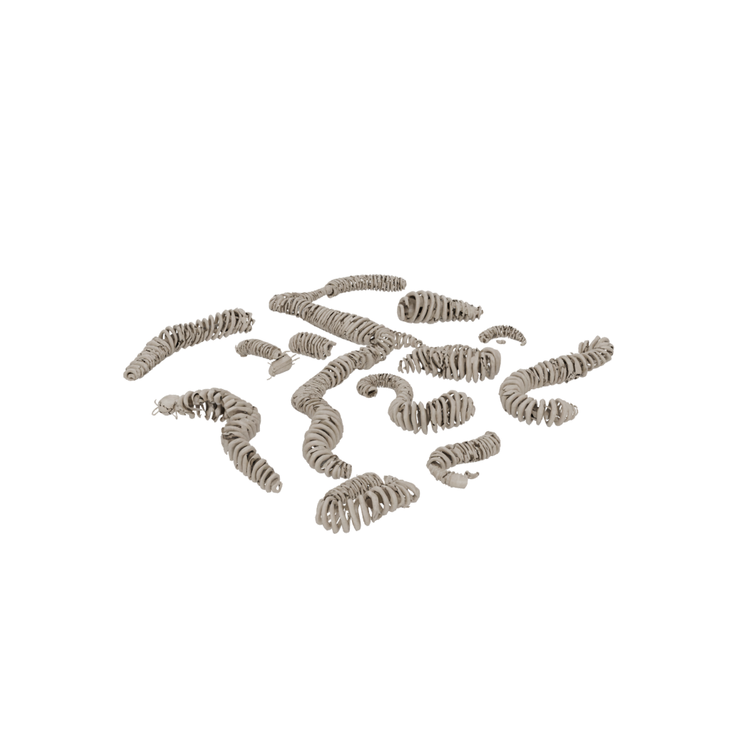 Woodgrain Articulated Millipede