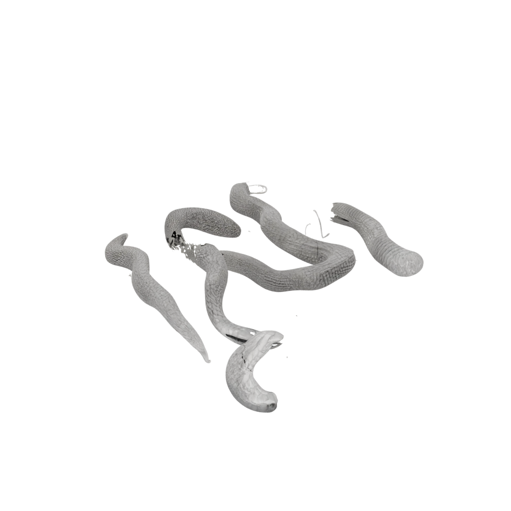 Woodgrain Textured Articulated Snake Long