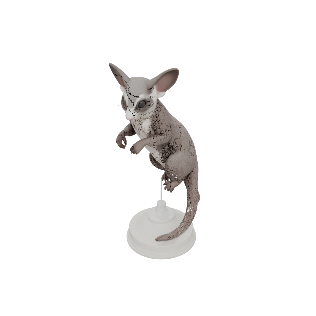 Armored Flexi Sugar Glider