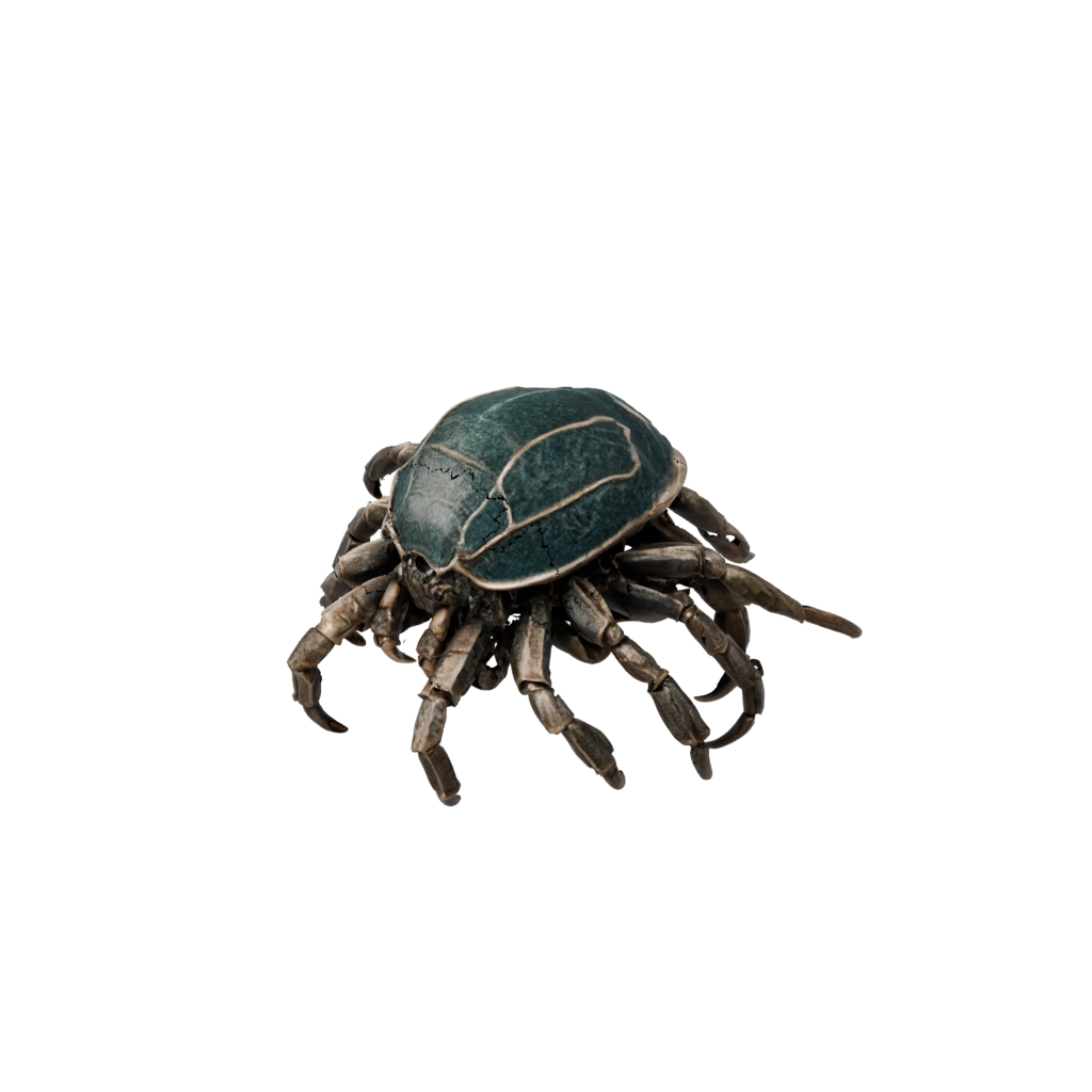 Bronze Realistic Flexi Hermit Crab — flexi animals 3D print model, STL