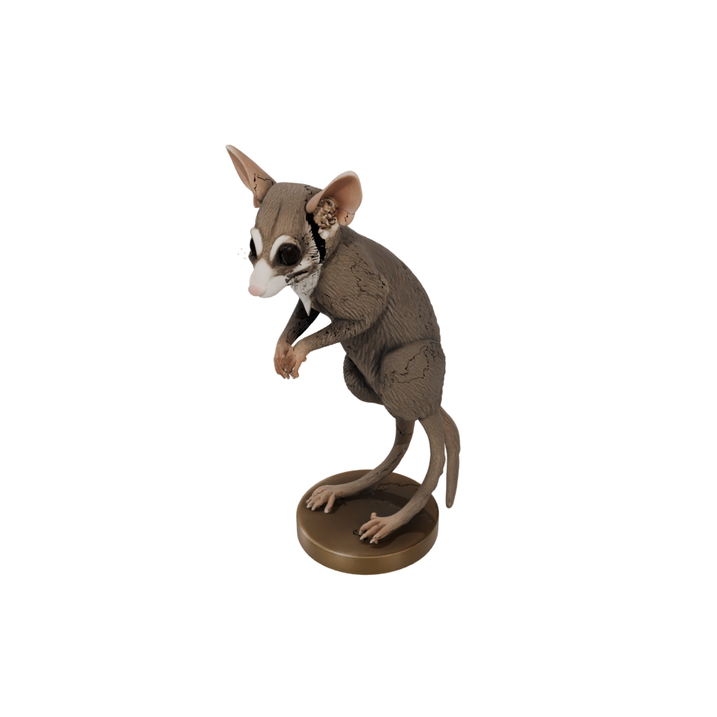 Bronze Realistic Flexi Sugar Glider — flexi animals 3D print model, STL