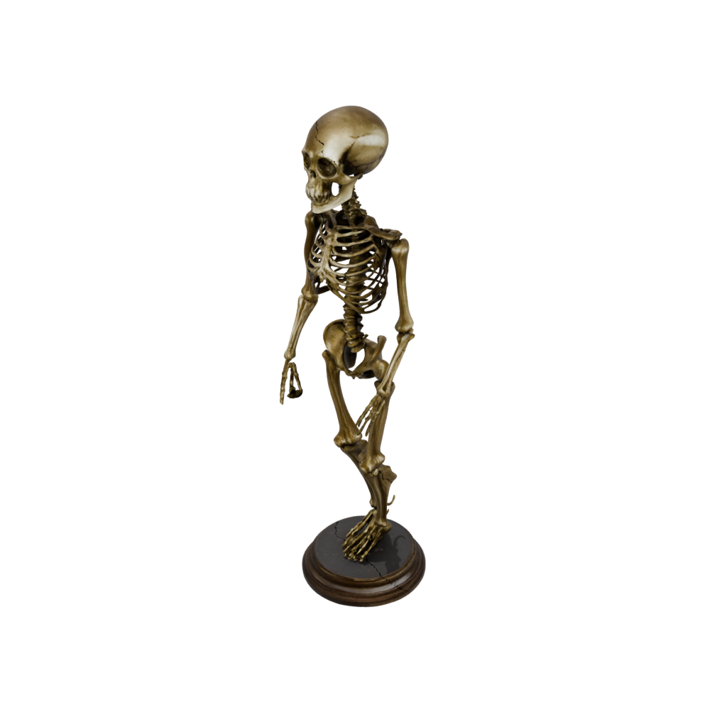 Bronze Skeleton Flexi Nautilus — flexi animals 3D print model, STL