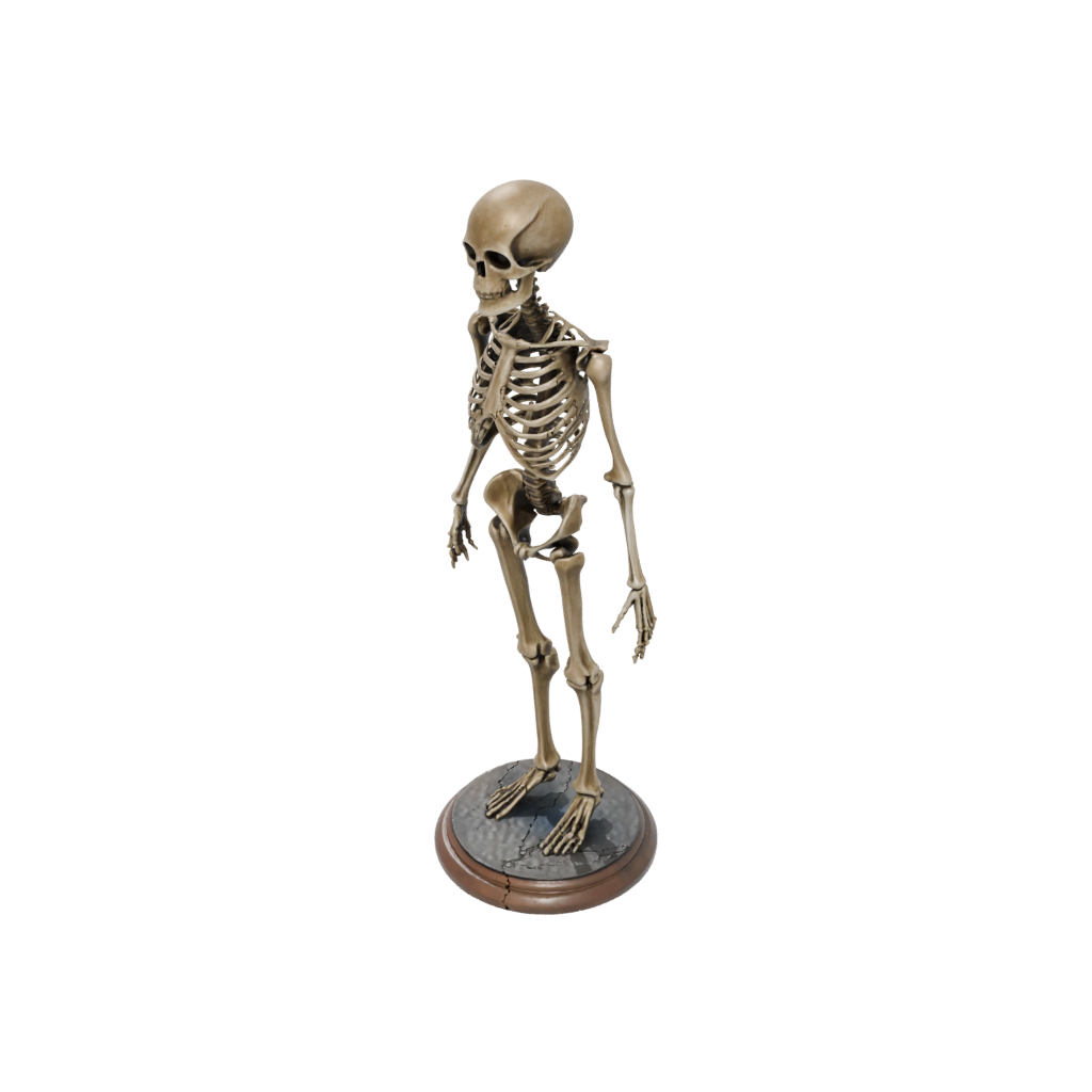 Bronze Skeleton Flexi Stingray — flexi animals 3D print model, STL