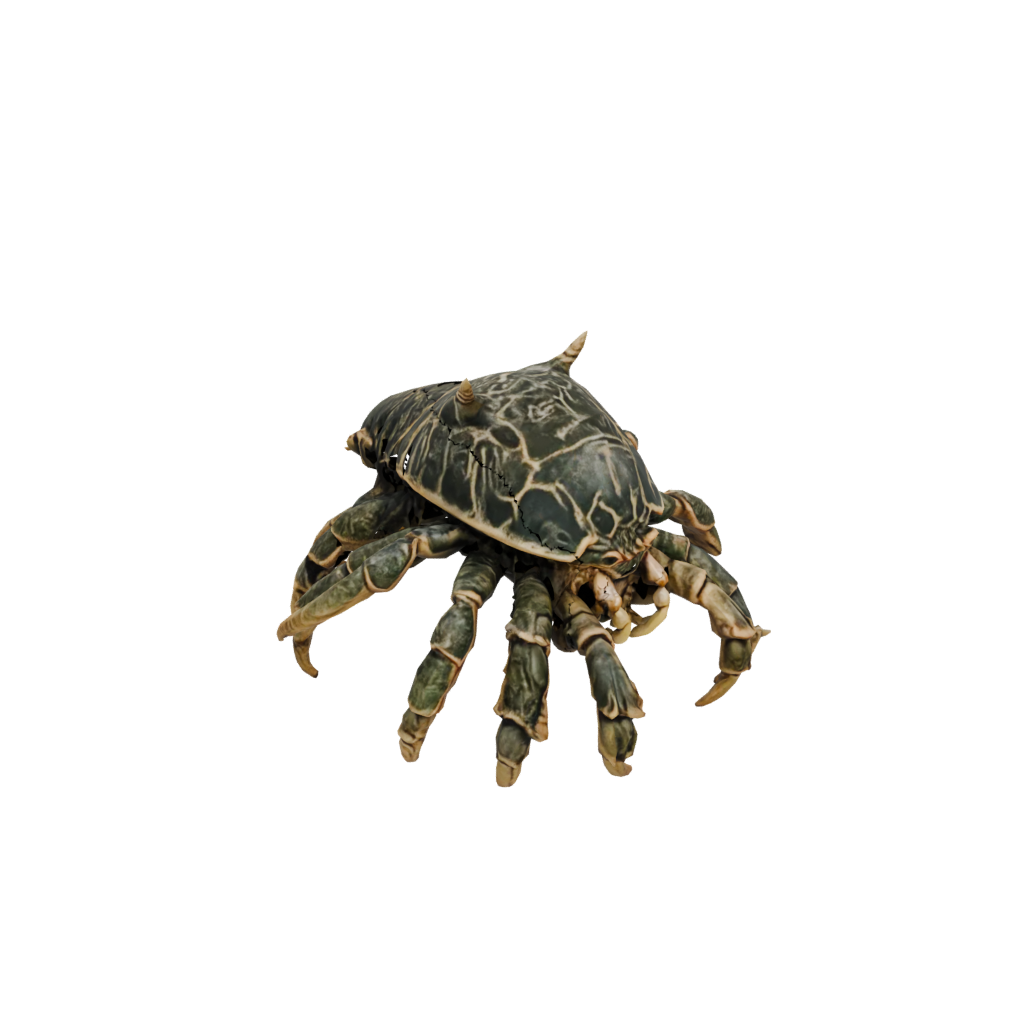 Camo Realistic Flexi Hermit Crab