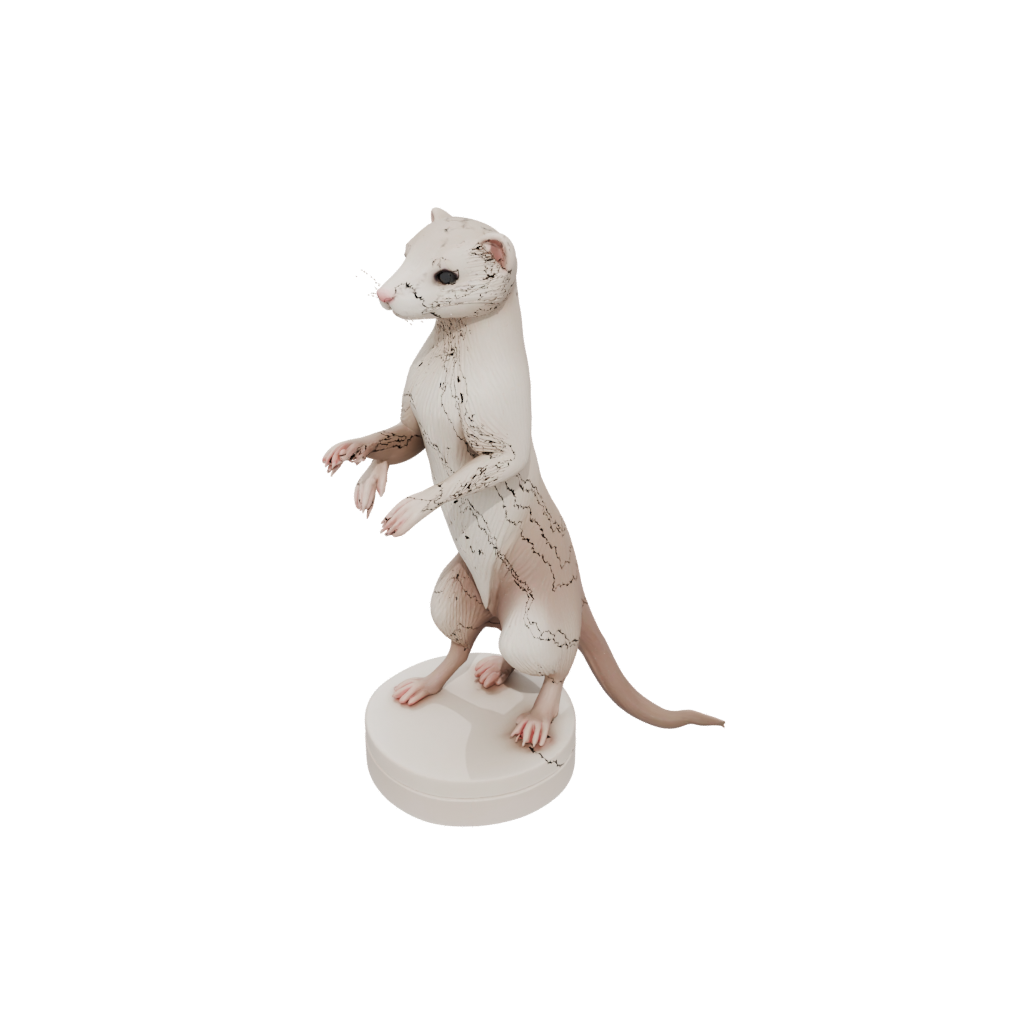 Flexi Ferret