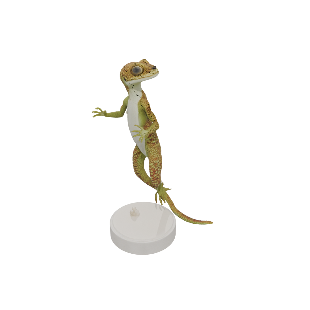 Flexi Gecko