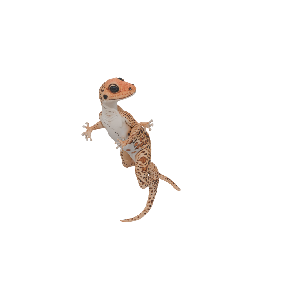 Flexi Leopard Gecko