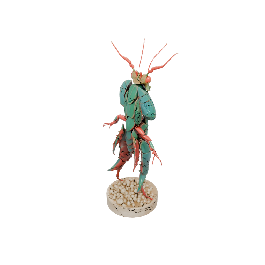 Flexi Mantis Shrimp