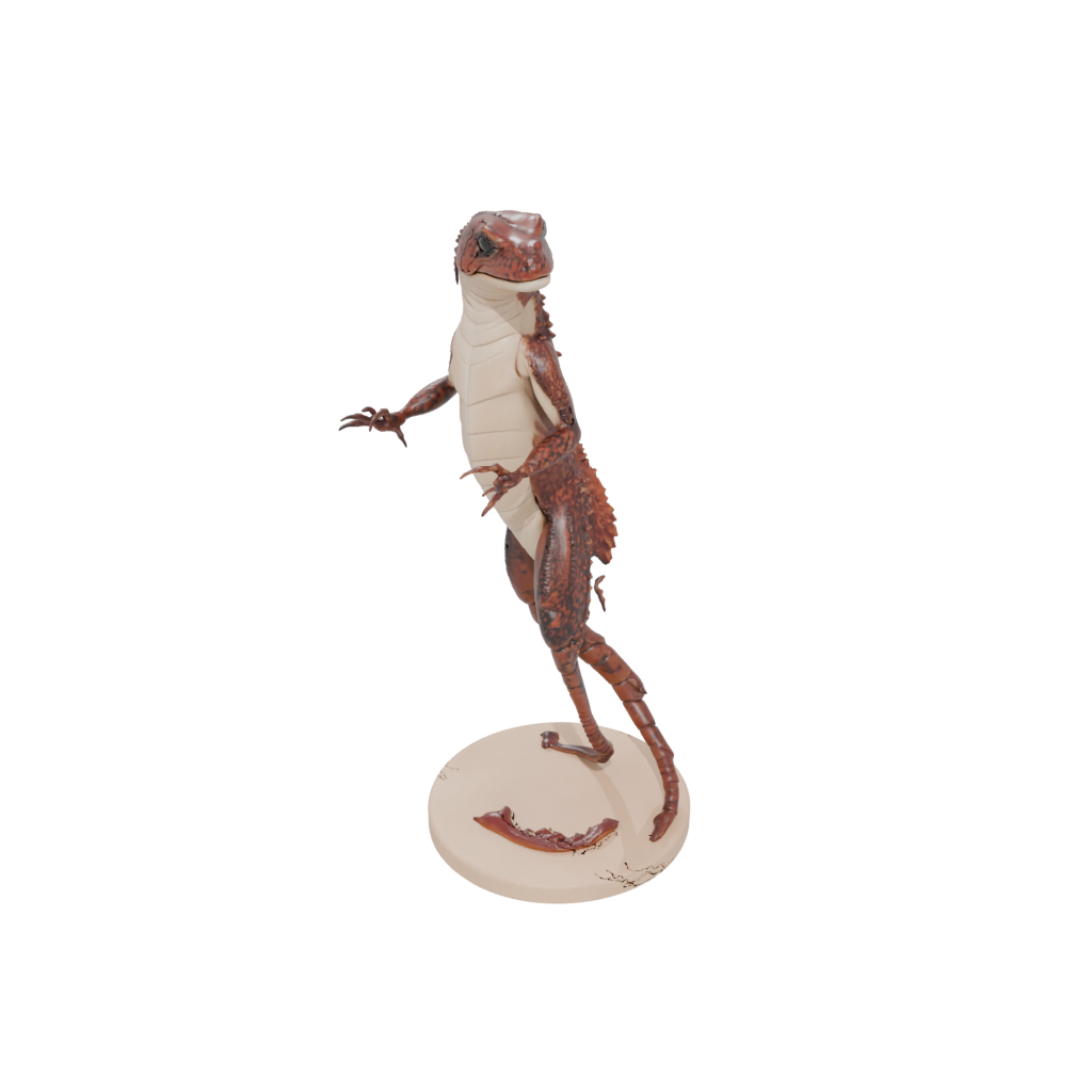 Flexi Salamander