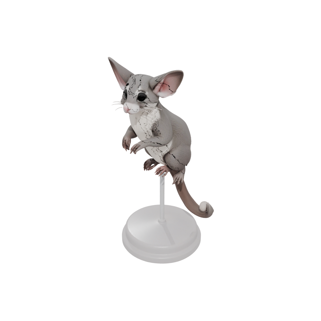 Flexi Sugar Glider