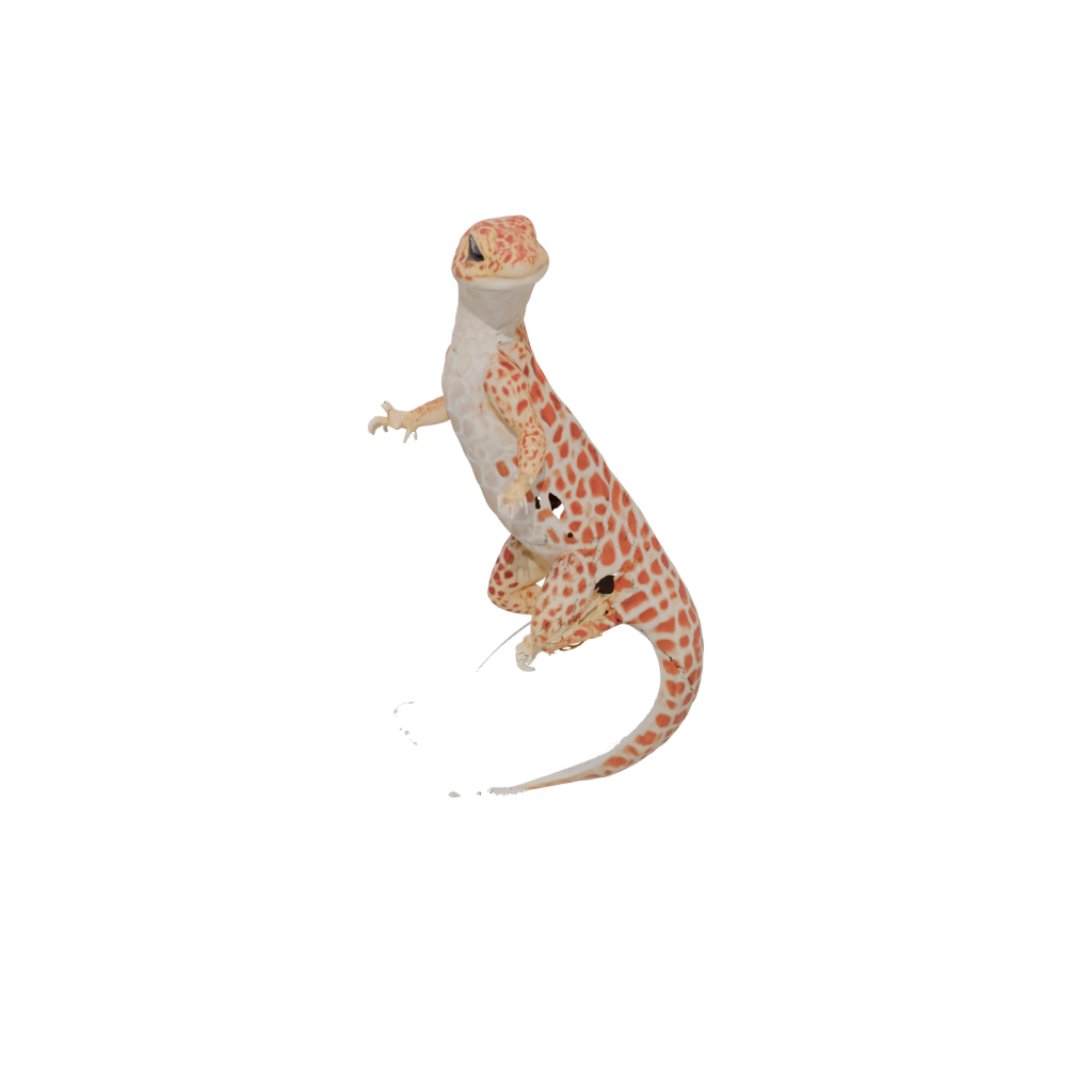 Crystal Armored Flexi Leopard Gecko