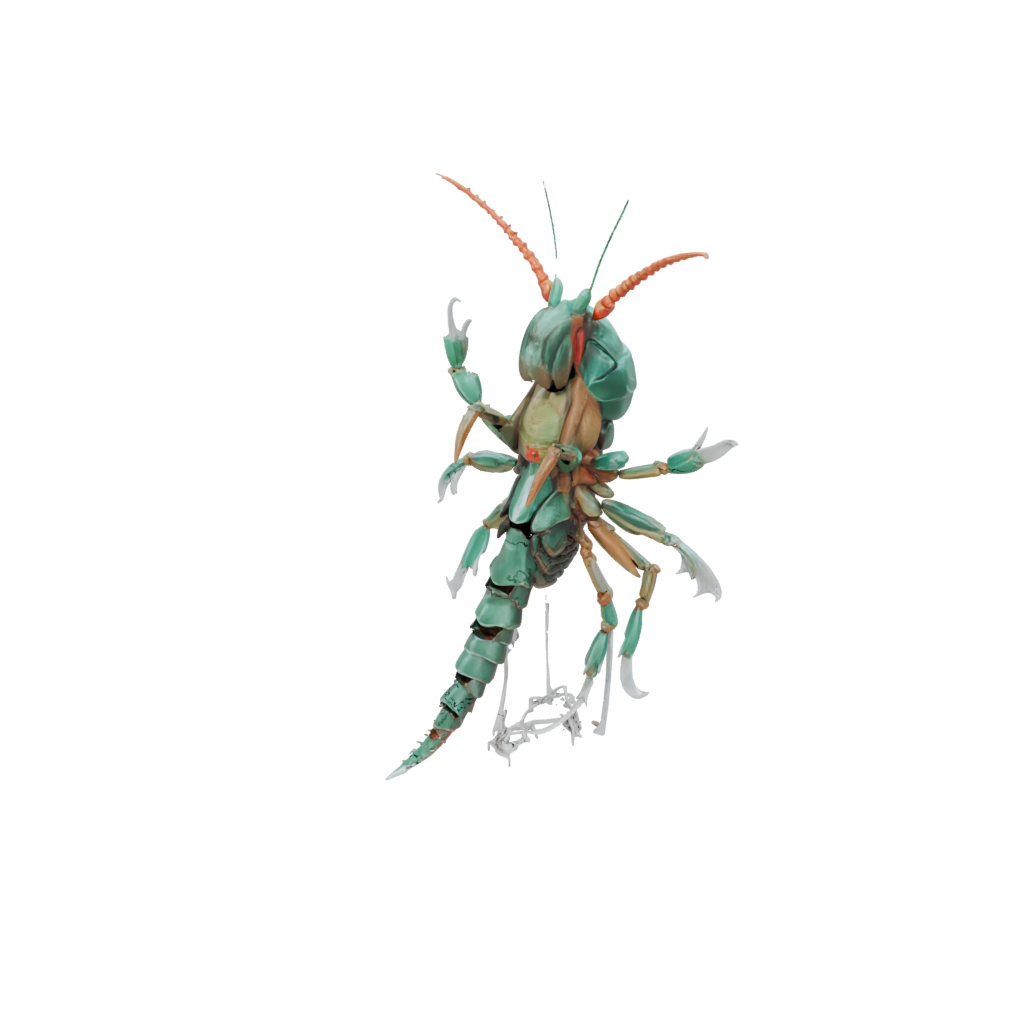 Crystal Armored Flexi Mantis Shrimp