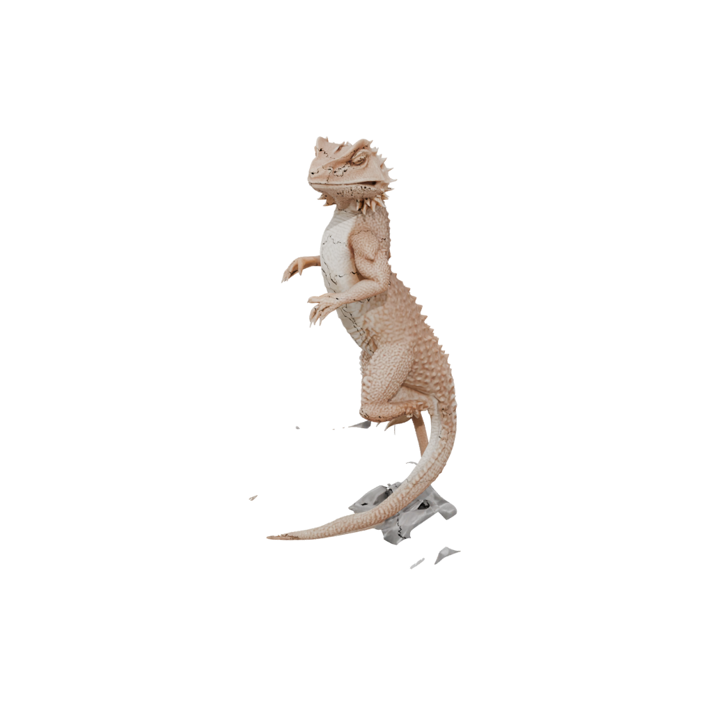 Crystal Flexi Bearded Dragon