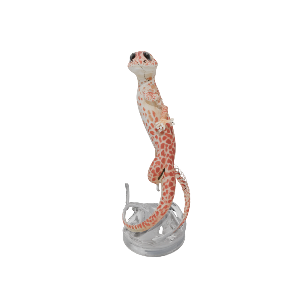 Crystal Flexi Leopard Gecko