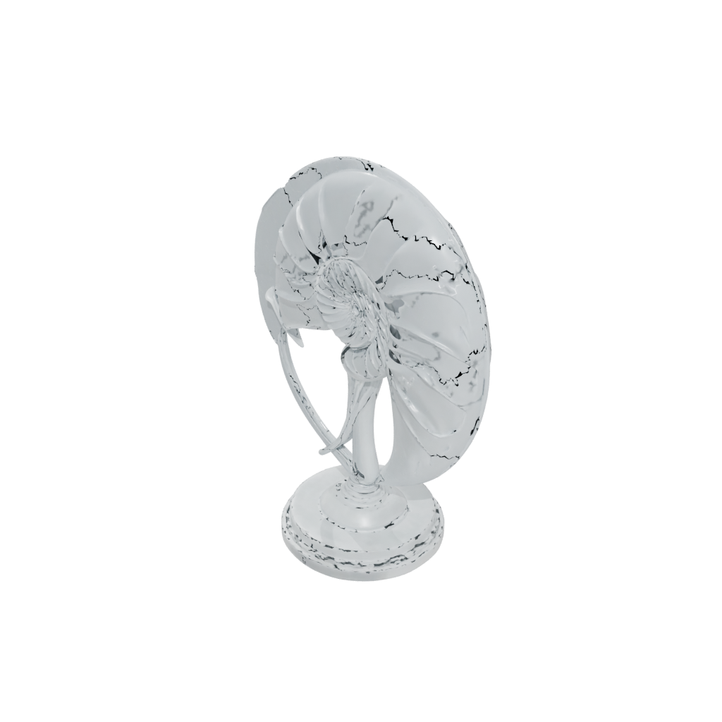 Crystal Flexi Nautilus