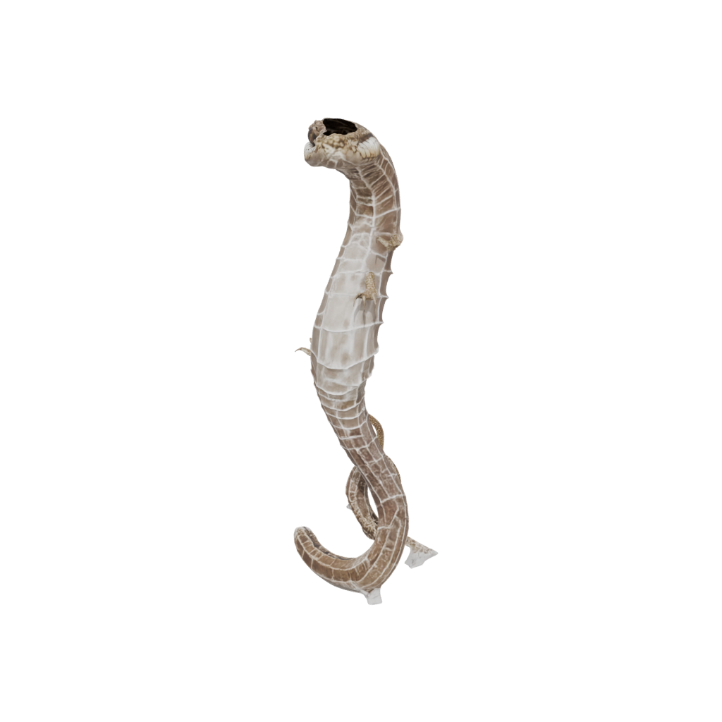 Crystal Flexi Rattlesnake