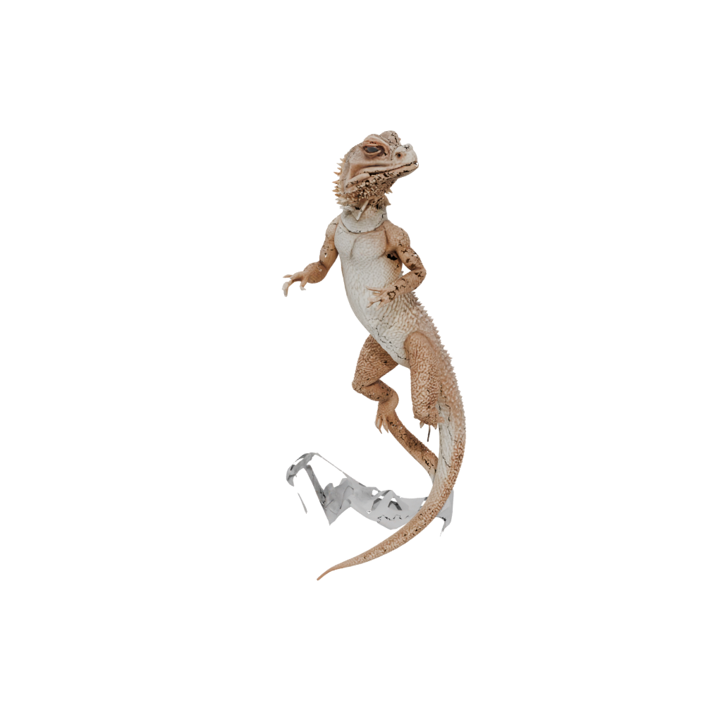 Crystal Realistic Flexi Bearded Dragon
