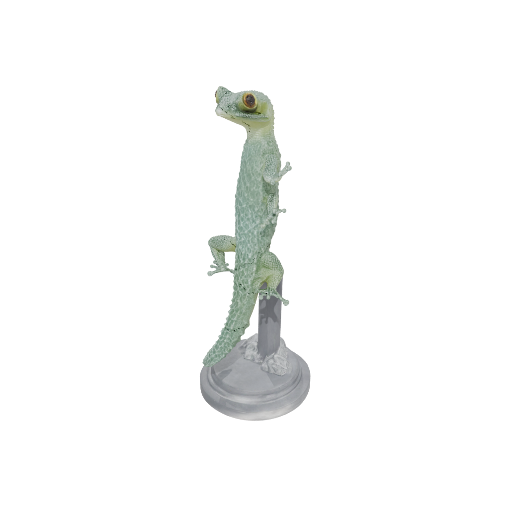 Crystal Realistic Flexi Gecko