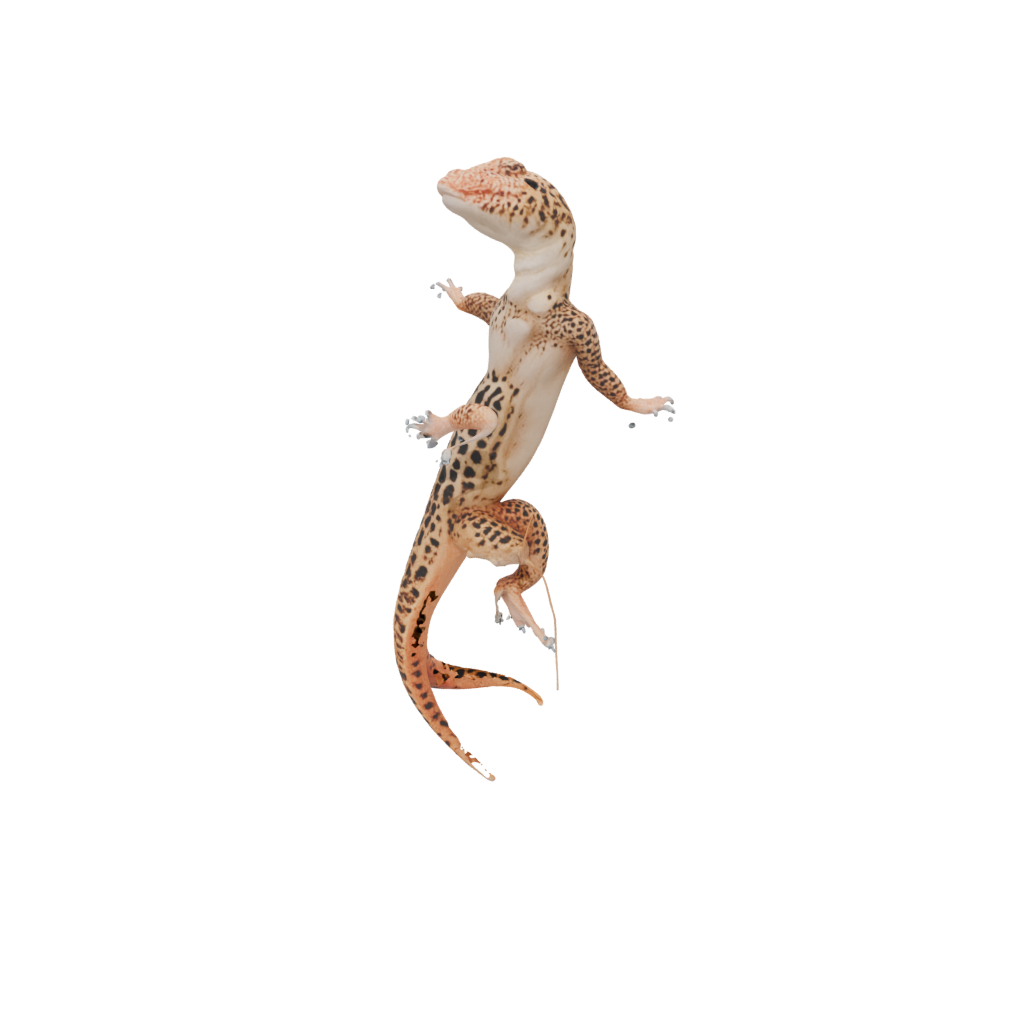 Crystal Realistic Flexi Leopard Gecko