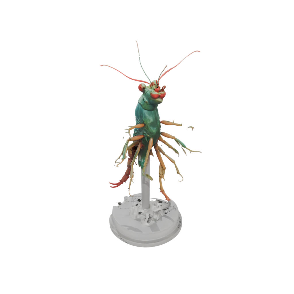 Crystal Realistic Flexi Mantis Shrimp
