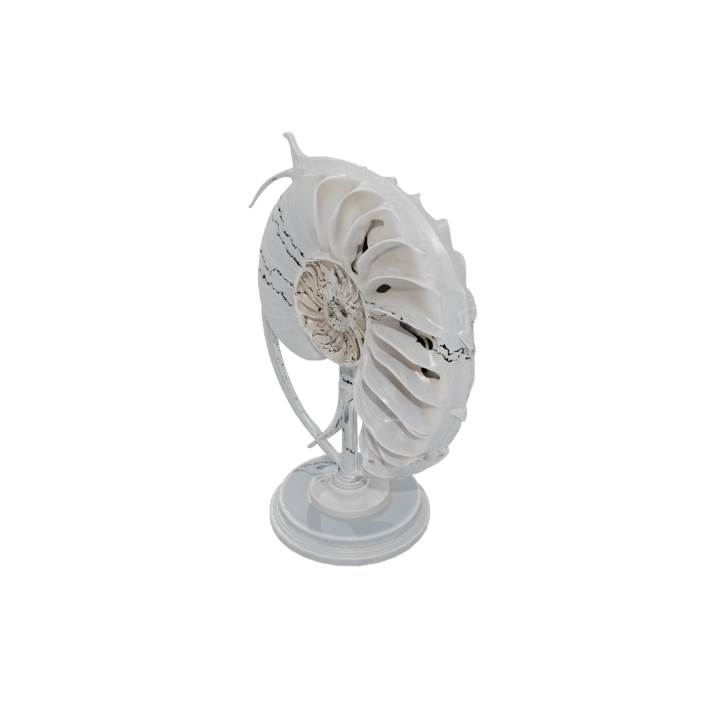 Crystal Realistic Flexi Nautilus