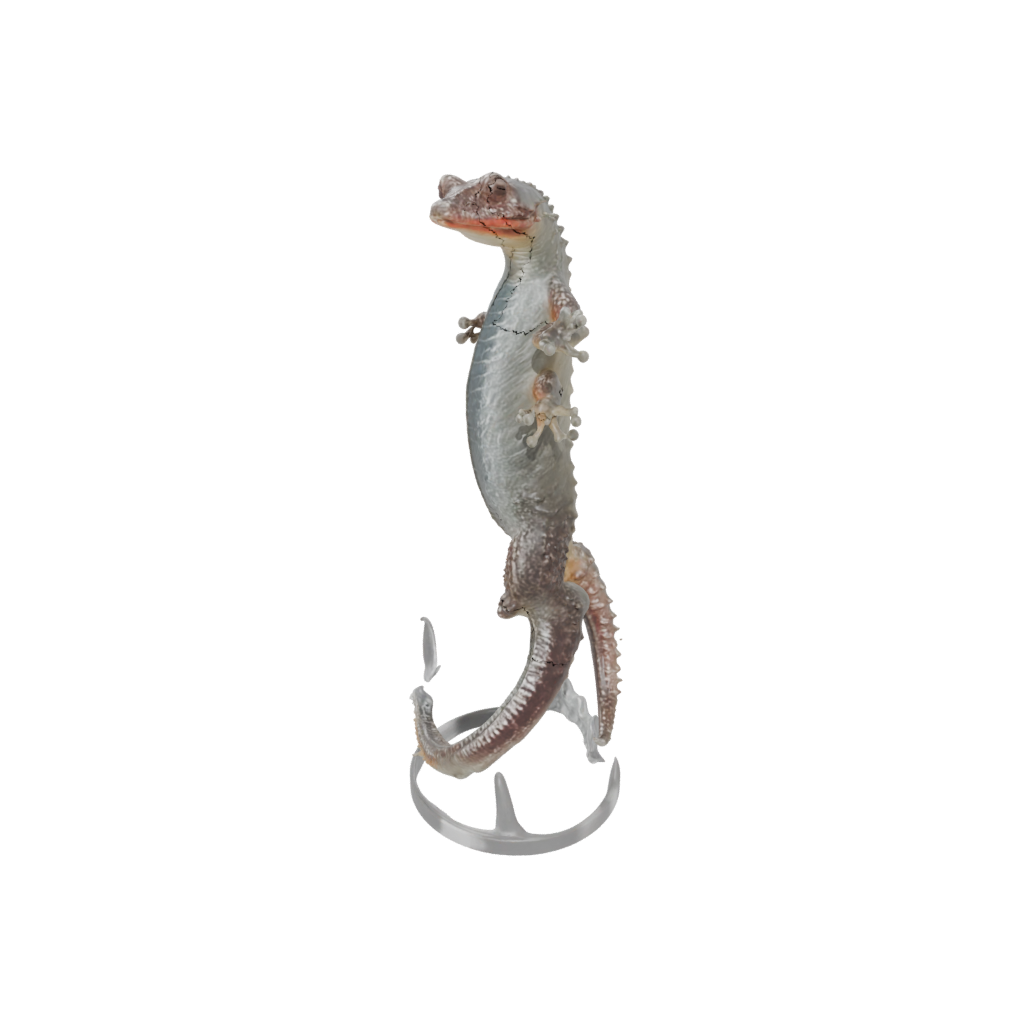 Crystal Realistic Flexi Salamander