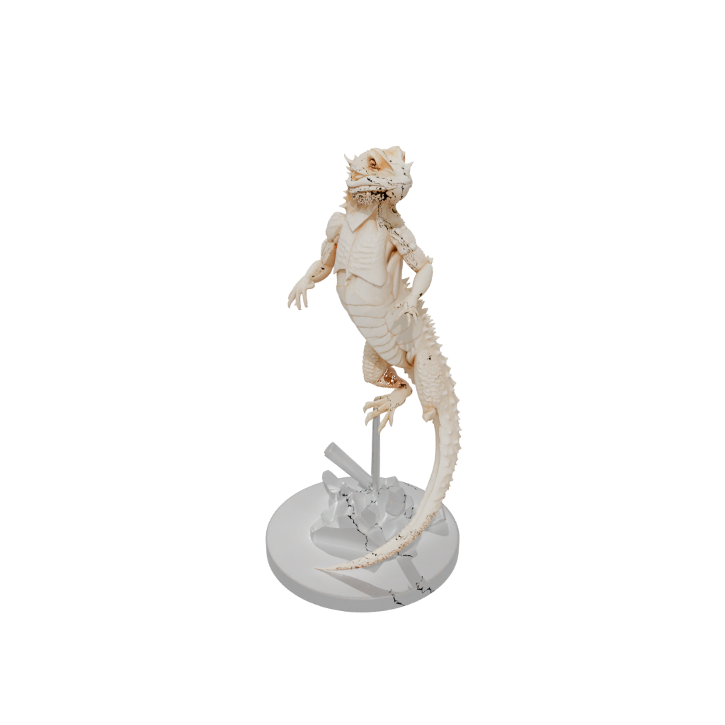 Crystal Skeleton Flexi Bearded Dragon