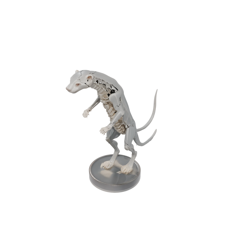 Crystal Skeleton Flexi Ferret