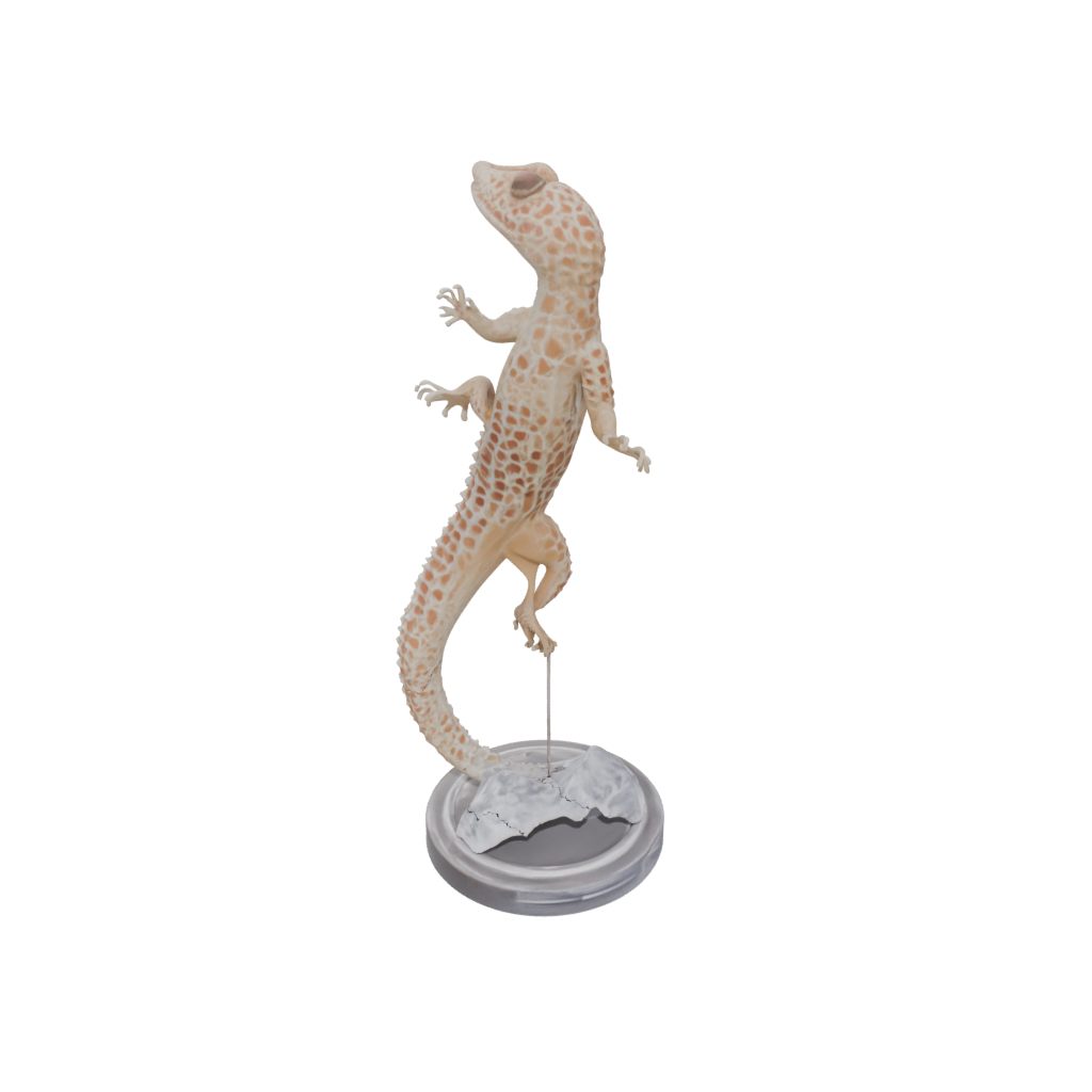 Crystal Skeleton Flexi Leopard Gecko