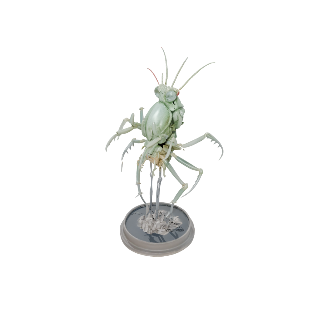 Crystal Skeleton Flexi Mantis Shrimp