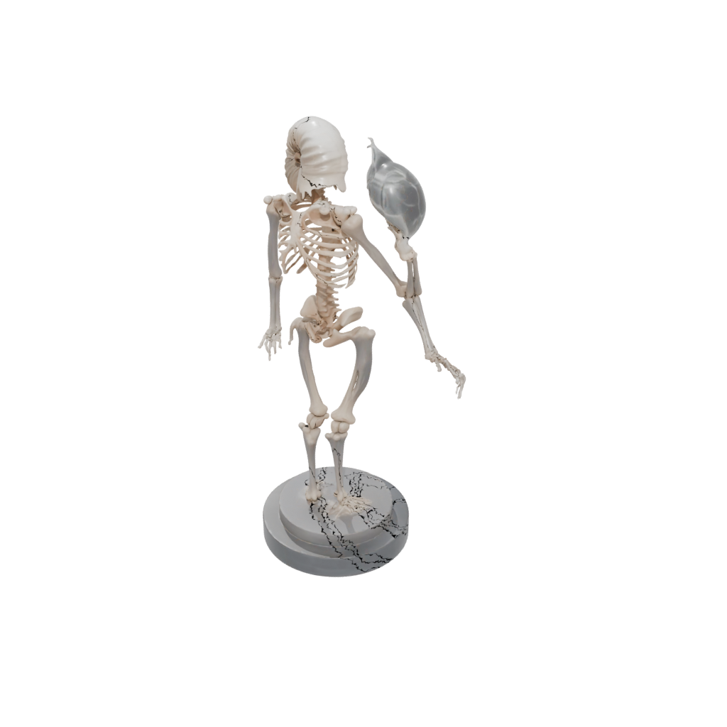 Crystal Skeleton Flexi Nautilus