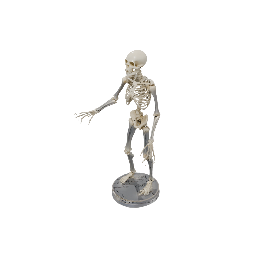 Crystal Skeleton Flexi Newt