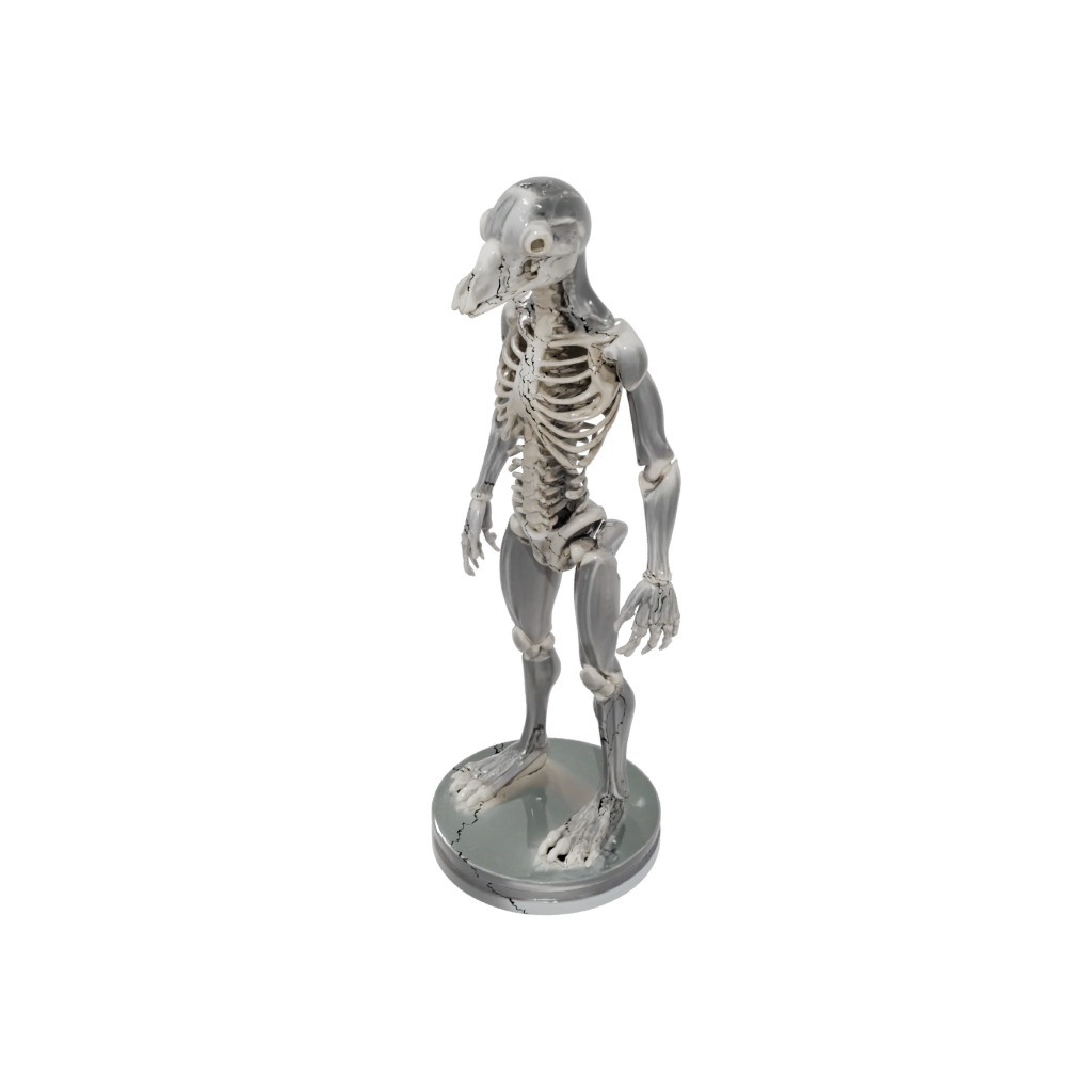 Crystal Skeleton Flexi Platypus
