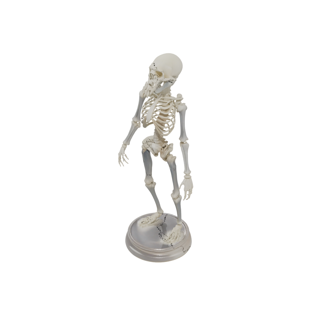 Crystal Skeleton Flexi Scorpion