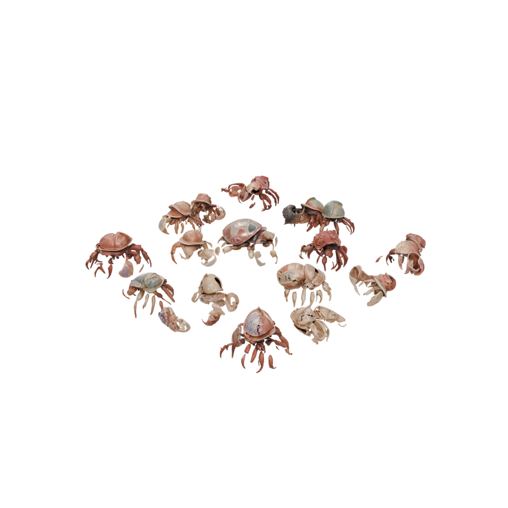 Floral Flexi Hermit Crab
