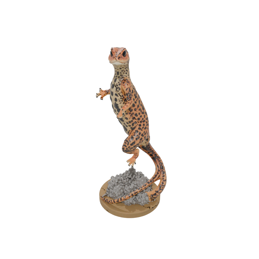 Galaxy Flexi Leopard Gecko