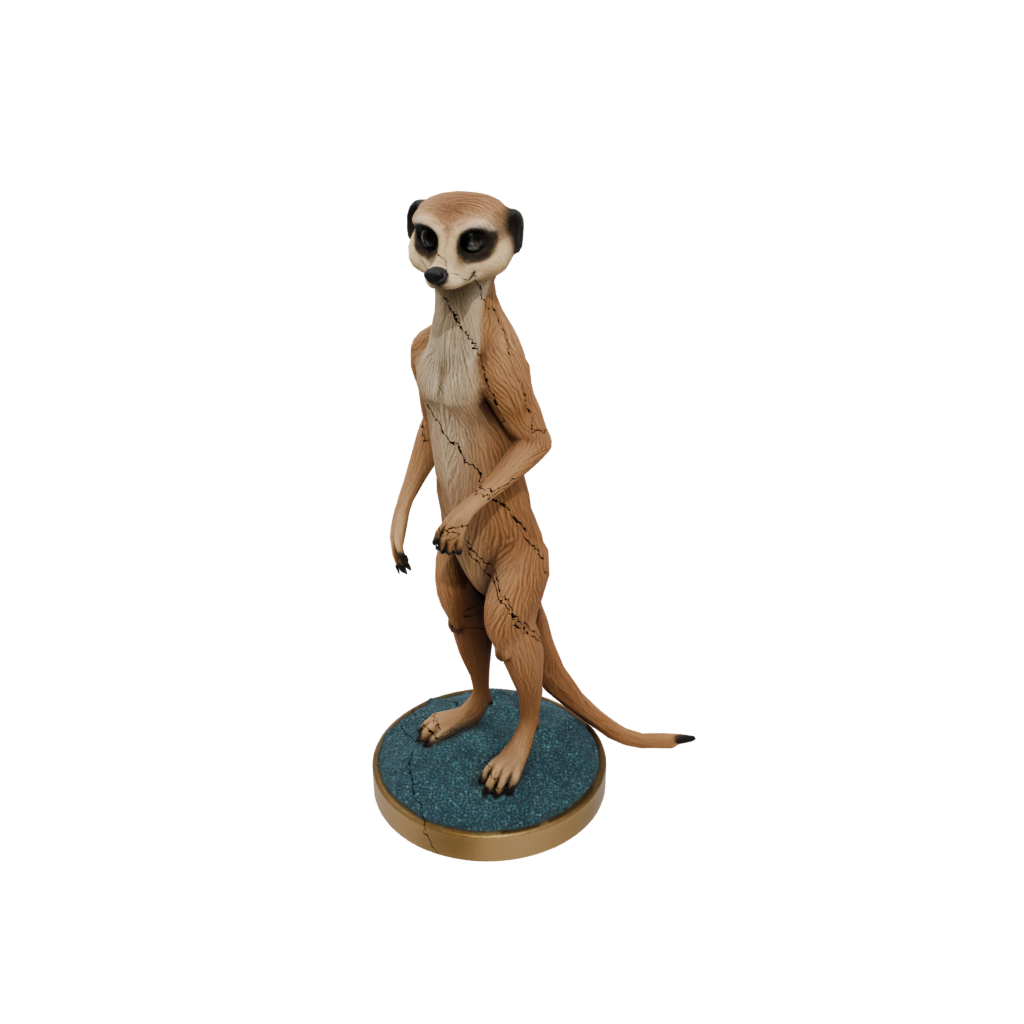 Galaxy Flexi Meerkat