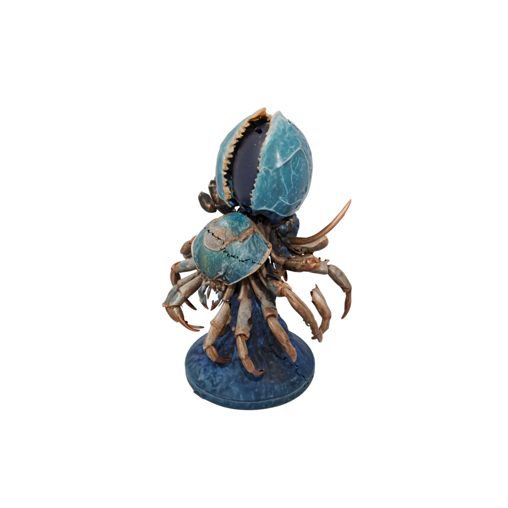 Galaxy Realistic Flexi Hermit Crab