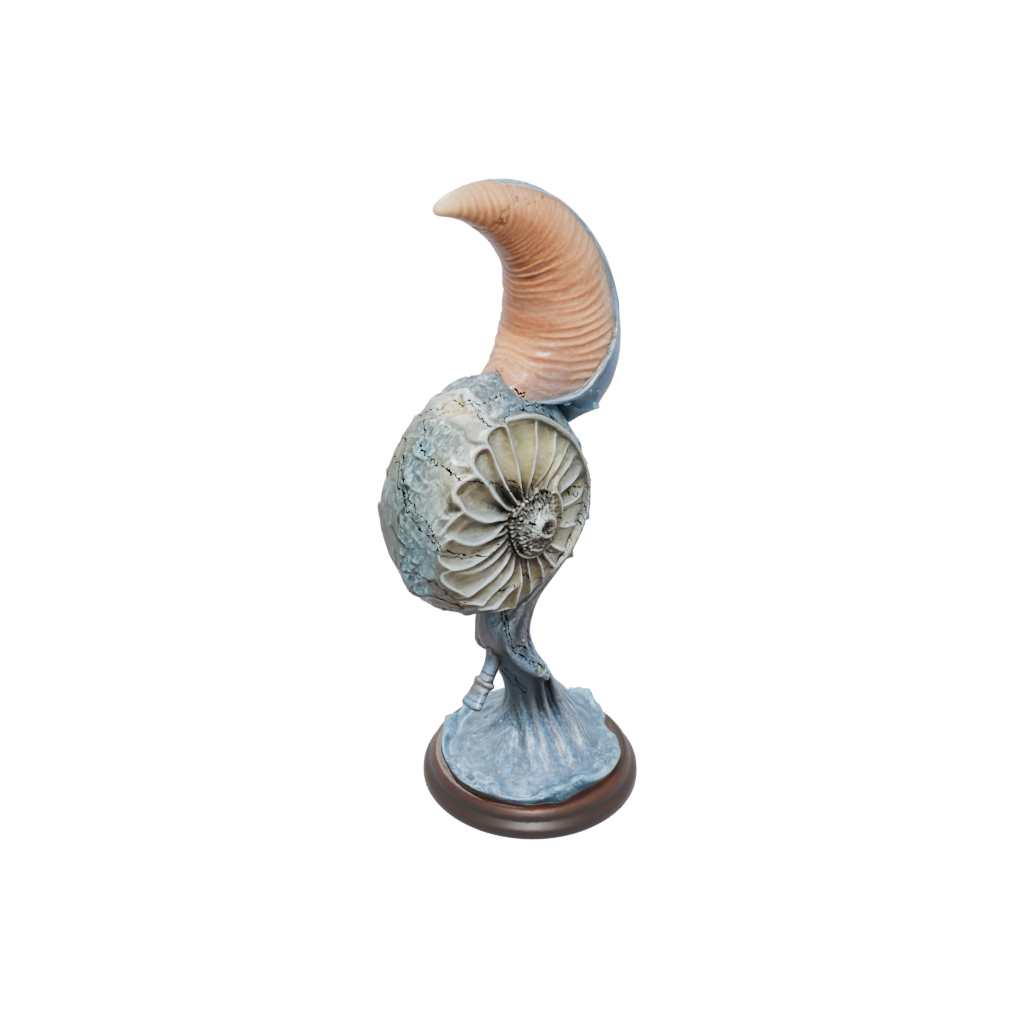 Galaxy Realistic Flexi Nautilus