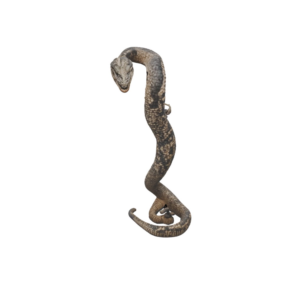 Galaxy Realistic Flexi Rattlesnake