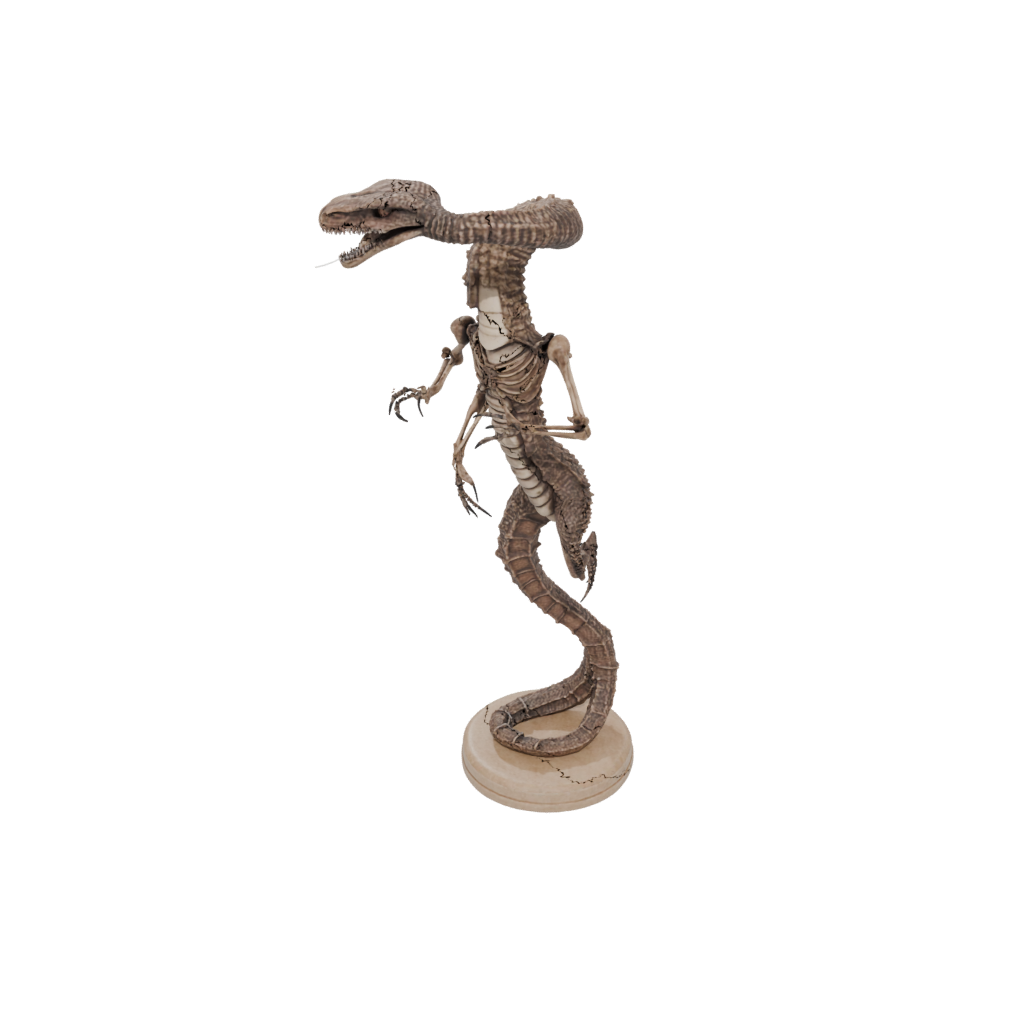 Galaxy Skeleton Flexi Rattlesnake