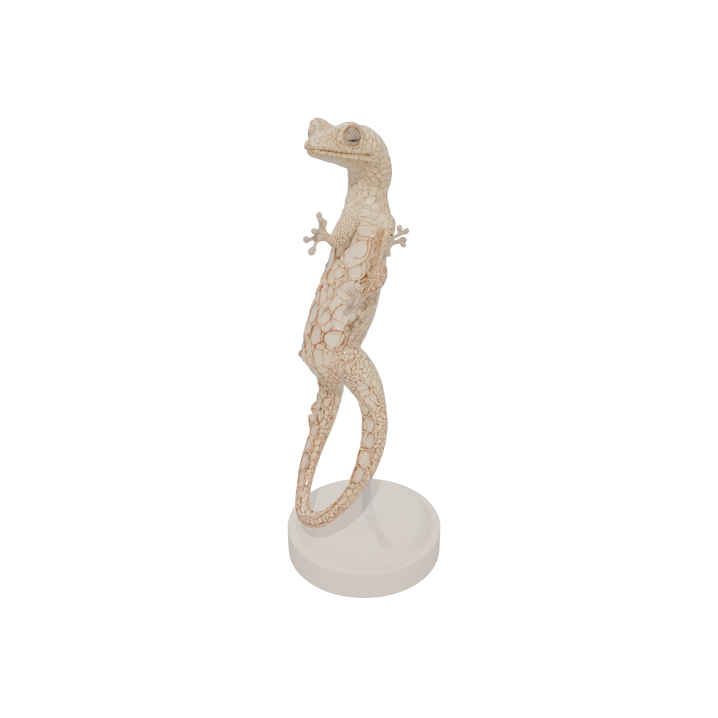 Geo Flexi Gecko