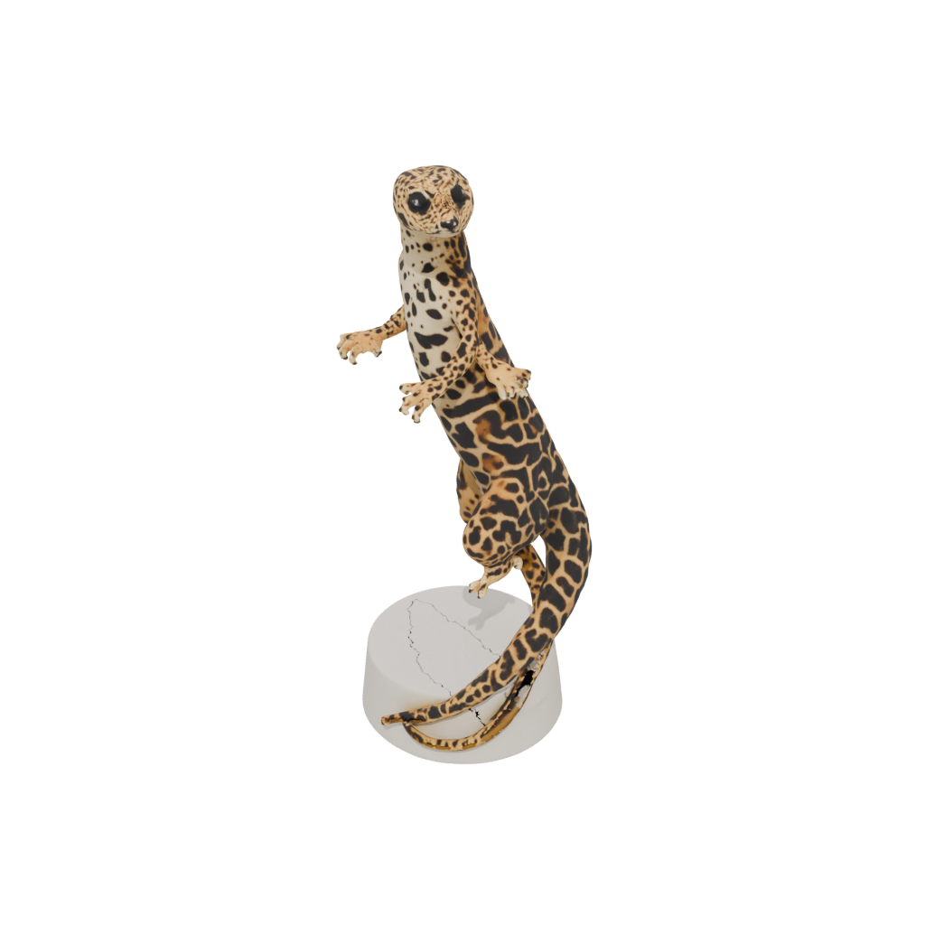 Geo Flexi Leopard Gecko