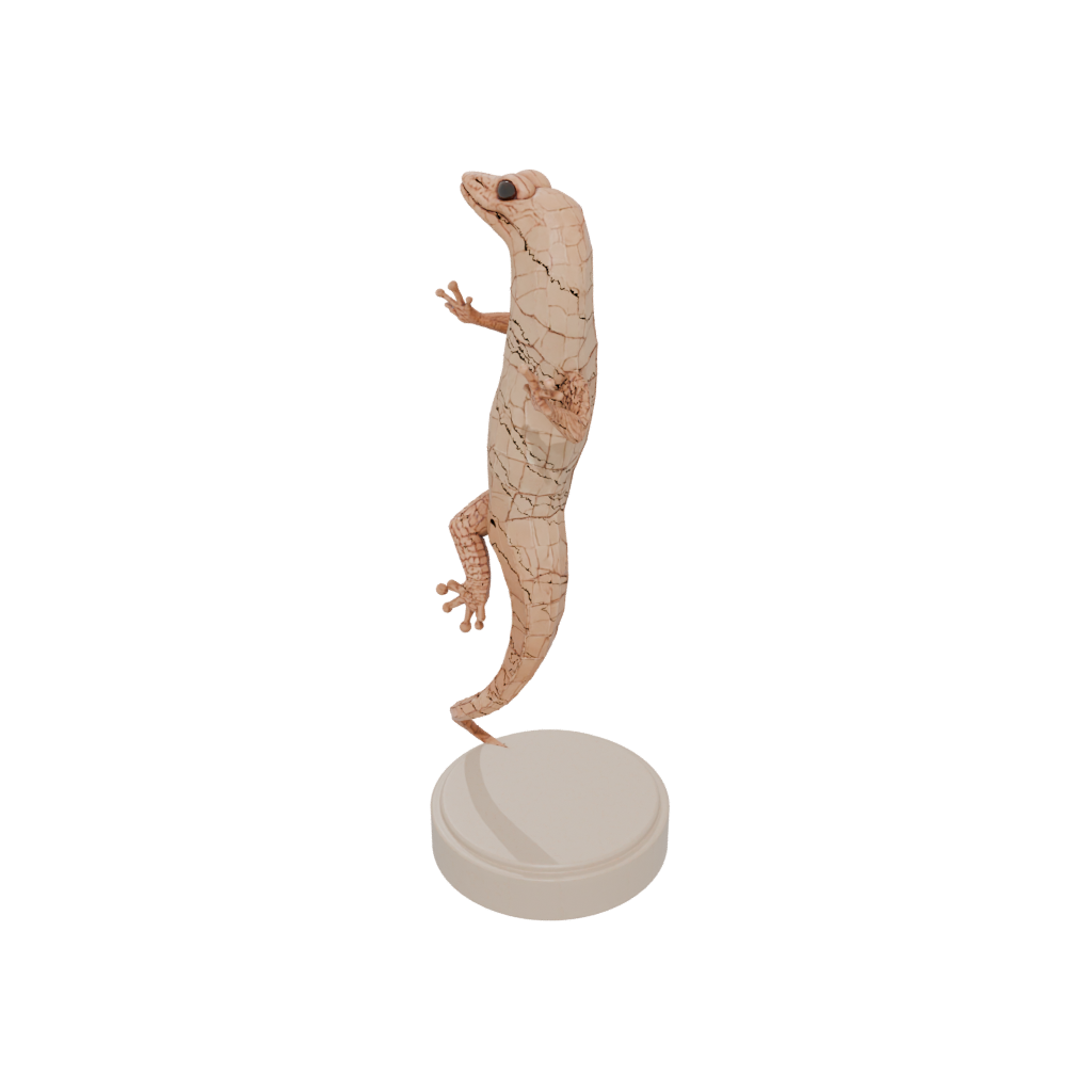 Geo Flexi Salamander