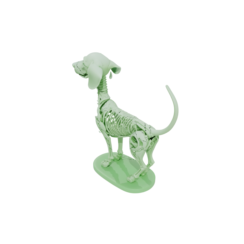 Glow Skeleton Flexi Dachshund Dog
