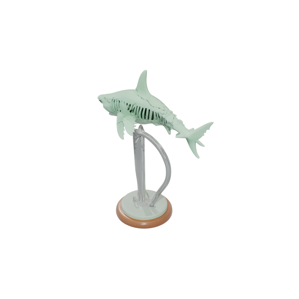 Glow Skeleton Flexi Great White Shark