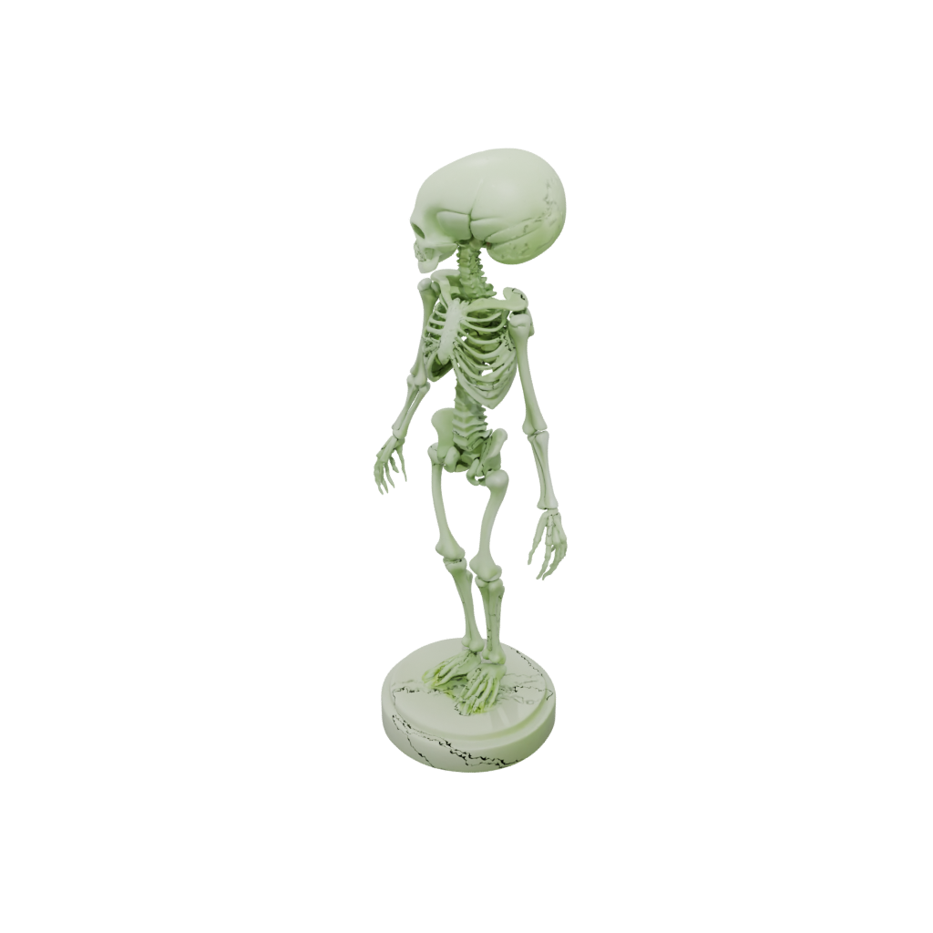 Glow Skeleton Flexi Nautilus
