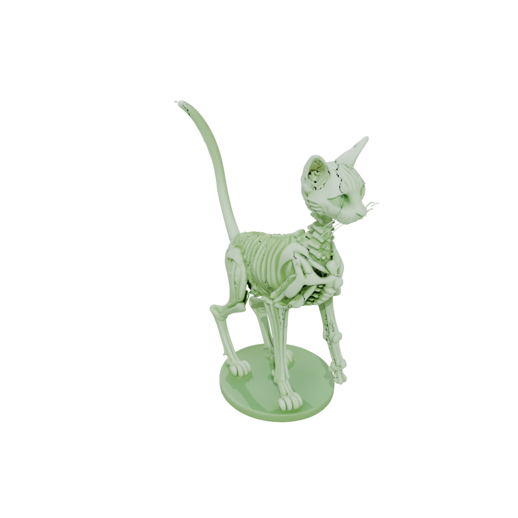 Glow Skeleton Flexi Tabby Cat