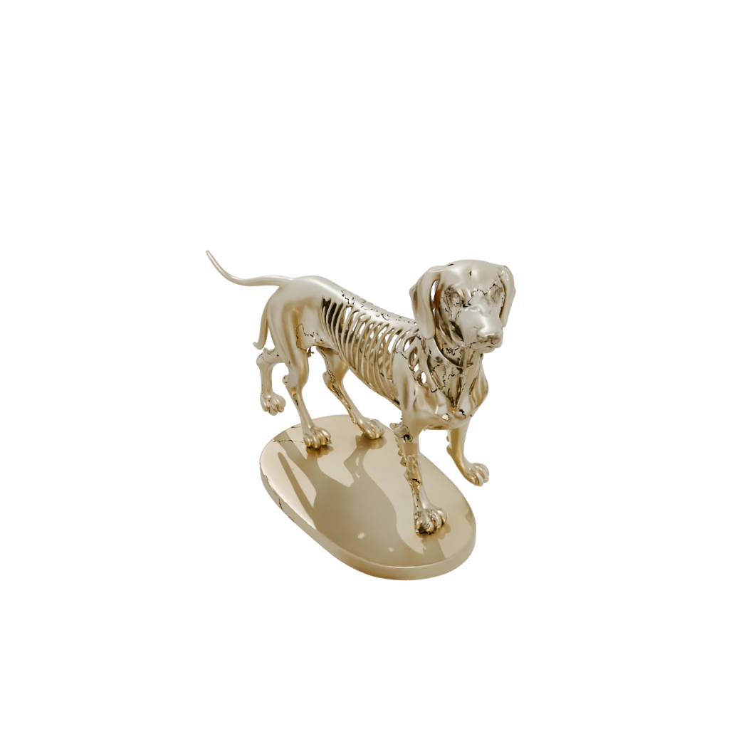 Gold Skeleton Flexi Dachshund Dog