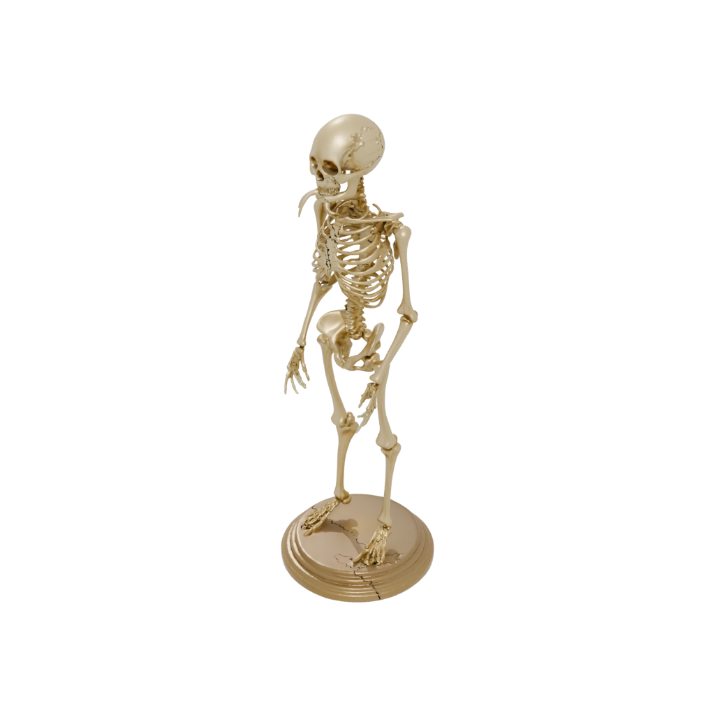 Gold Skeleton Flexi Nautilus